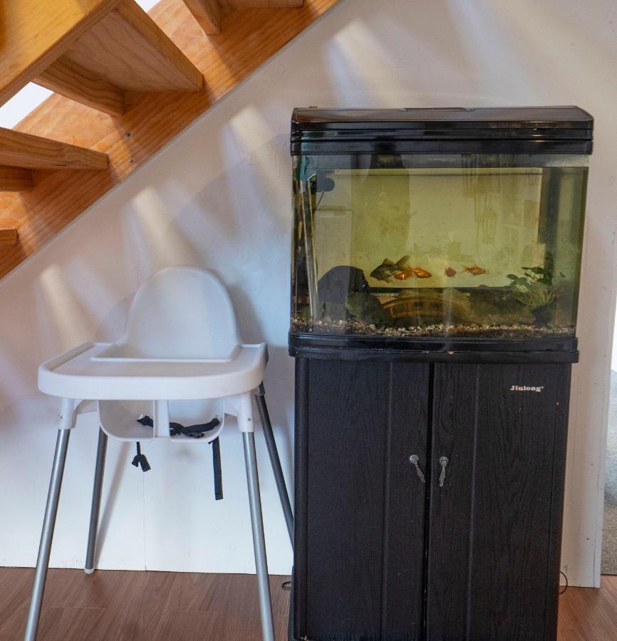 Waikoura Springs Panzió Kaikoura Kültér fotó